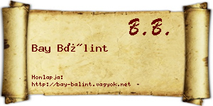 Bay Bálint névjegykártya